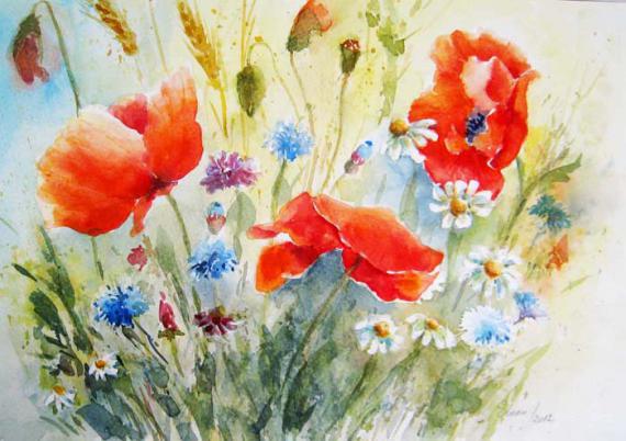 Les coquelicots - Eugenia Ioan