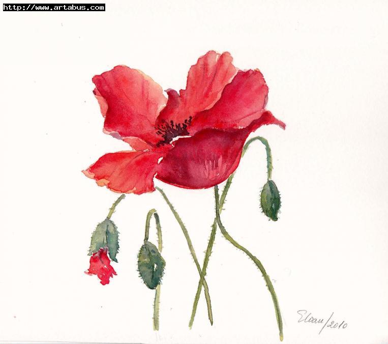 Coquelicot-3 - Eugenia Ioan - Cliquer pour afficher en grand