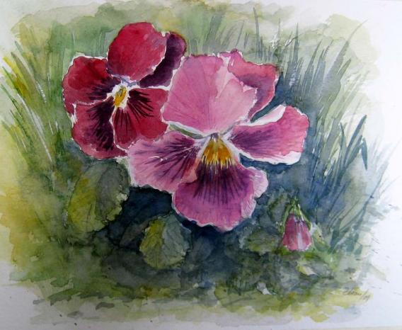 Pensée mauve - Eugenia Ioan