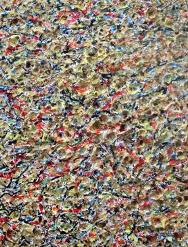 POLLOCK IN 3D - Giuseppe Ferri