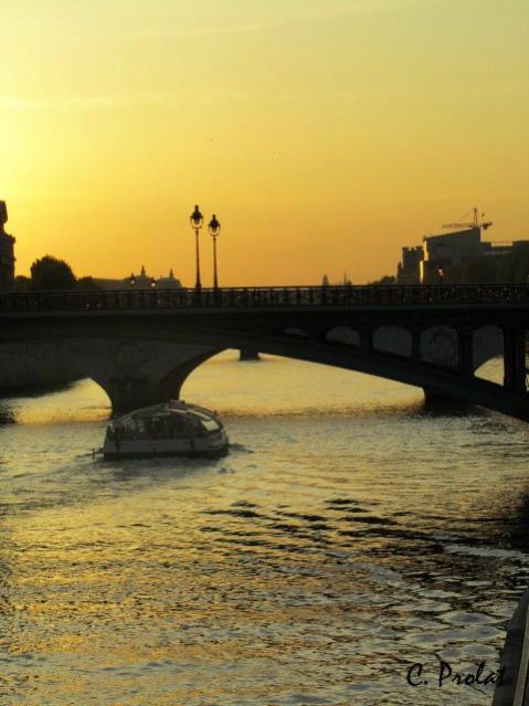 Jaune sur Seine - Caroline Prolat