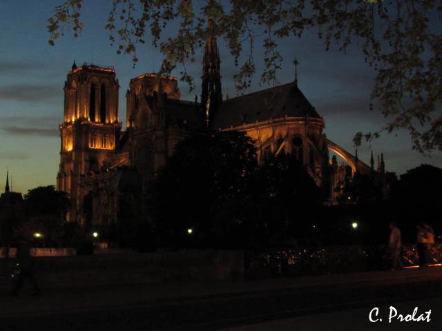 La magie de Notre Dame obscure - Caroline Prolat - Cliquer pour afficher en grand