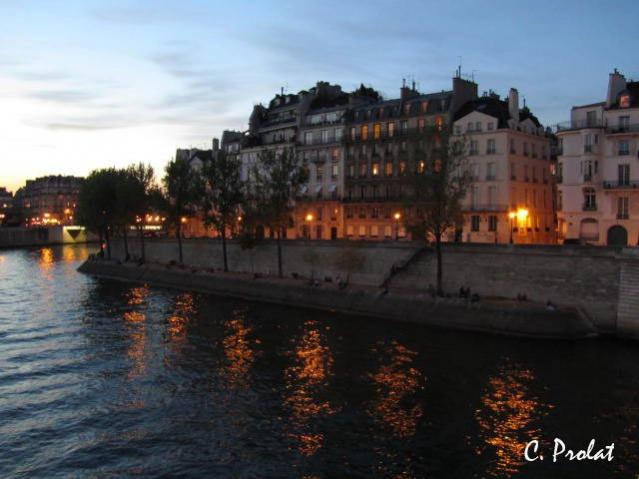 Reflets sur Seine - Caroline Prolat - Cliquer pour afficher en grand