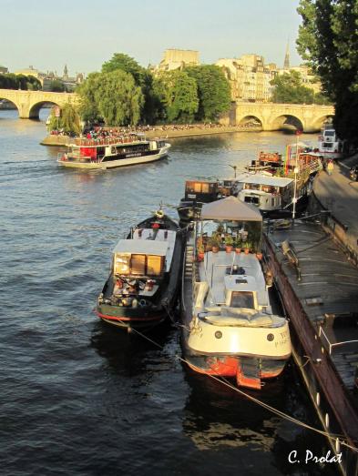 Le trafic de la Seine - Caroline Prolat