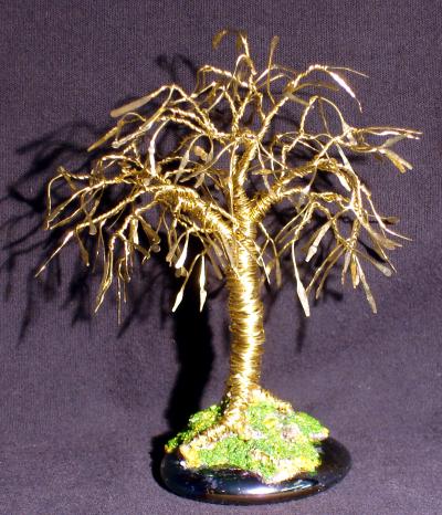 Mini Bonsai with leaves - Sal Villano