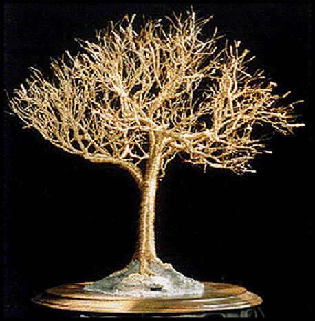 Golden Elm - wire tree sculpture - Sal Villano