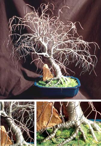 Hickory in Blue Base - Wire Tree Sculpture - Sal Villano
