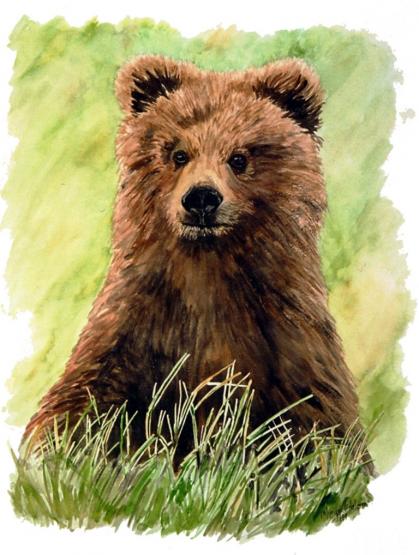 l'Ours - Myriam Arnu
