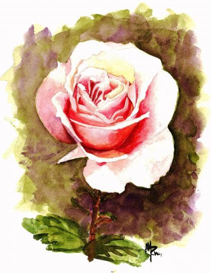 rose rose - Myriam Arnu