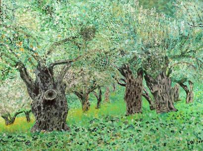 a olive forest - Weintraub Lupu