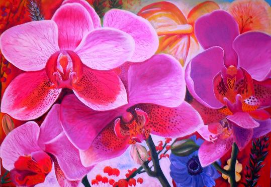 orchidees - Weintraub Lupu