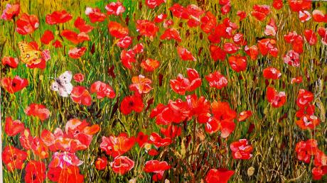 red landscape in Provence - Weintraub Lupu