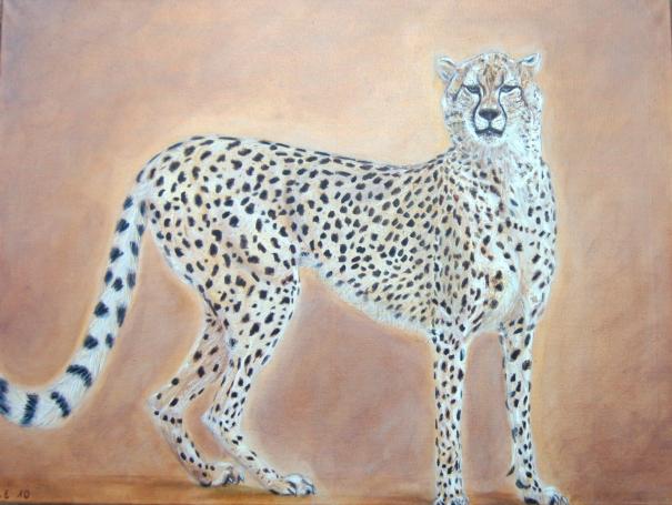 Cheetah III - Isabelle Ehly - Cliquer pour afficher en grand