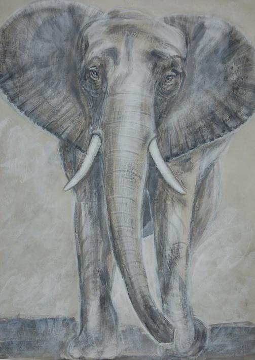 Elephant dessin - Isabelle Ehly