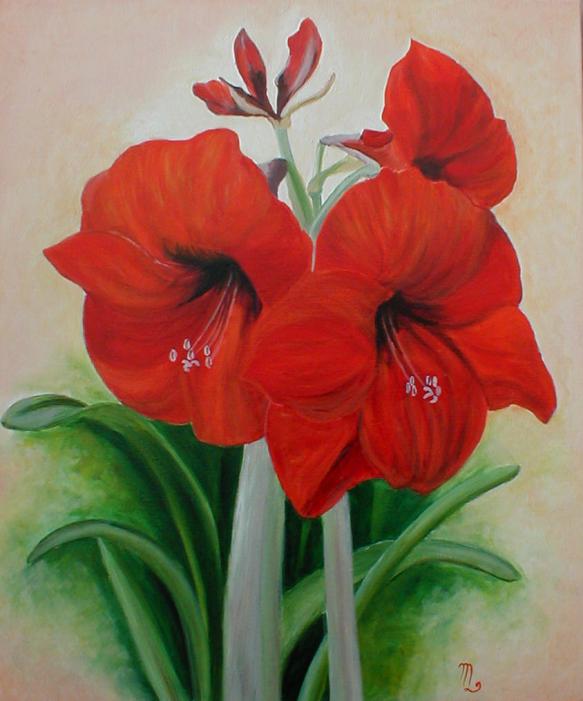 Amaryllis - Maryse Legrand - Click to enlarge