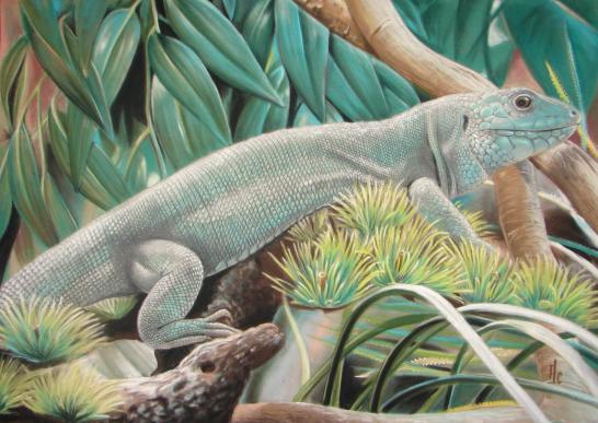 lézard vert - Céline Molina