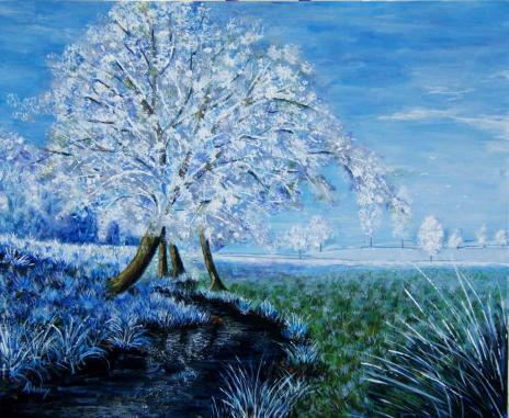FLEURS DE NEIGE - Aldéhy