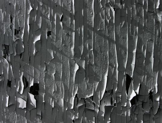 CRACKED PAINT - Scott Shaver