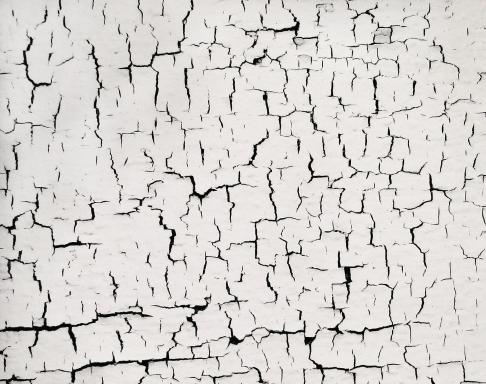 PAINT CRACKS - Scott Shaver