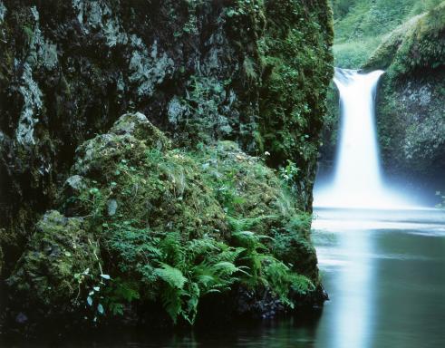 PUNCH BOWL FALLS - Scott Shaver