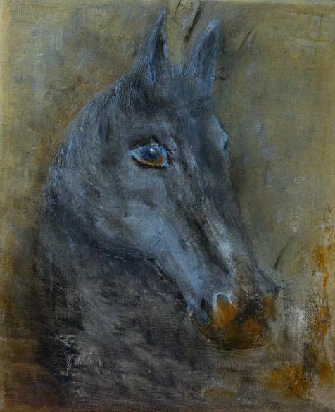 Pouliche - Patrice Foussat