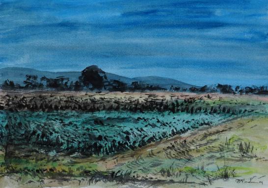 Field - Pracha Yindee