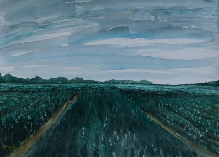 Green fields - Pracha Yindee - Click to enlarge