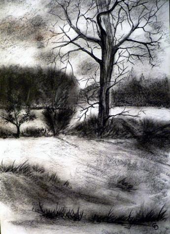 Arbre - Christine Delfosse