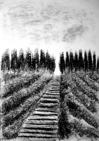 Escalier de pierre - Christine Delfosse
