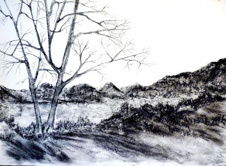Sauvage - Christine Delfosse
