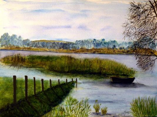 Sur le marais, en Normandie - Christine Delfosse