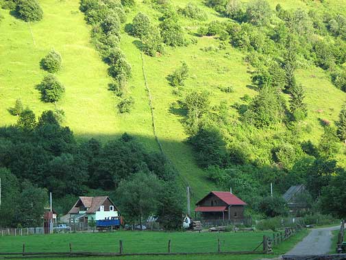 Hills - Nicu Ilie