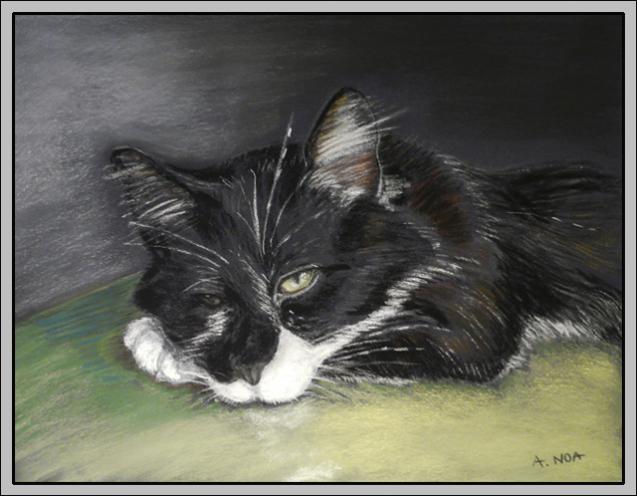Mon chaton Bijou - Aymeric Noa - Click to enlarge