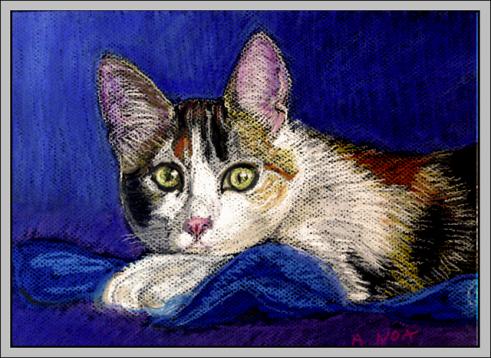 Vicky - Aymeric Noa