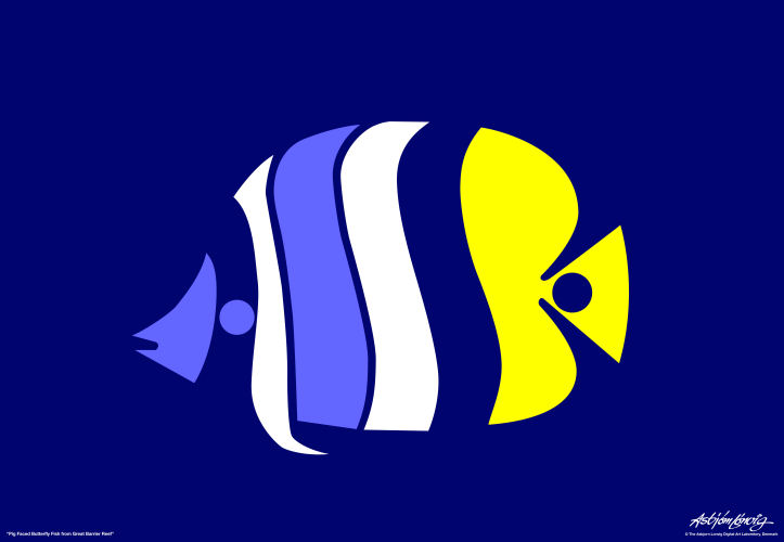 Pig Faced Butterfly Fish - print on demand - Asbjorn Lonvig - Click to enlarge