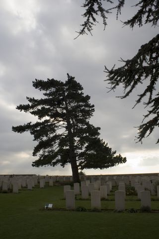 Cimetière chinois 1 - Gérard Gobert