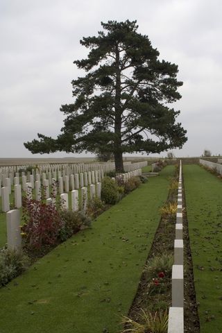 Cimetière chinois 2 - Gérard Gobert