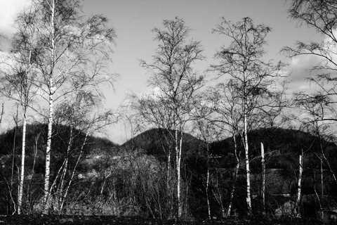 Collines - Gérard Gobert