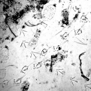 Traces 1 - Gérard Gobert
