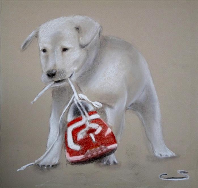 le petit chien joueur - Serge - Click to enlarge