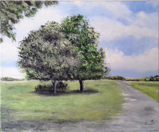 Les arbres - Serge