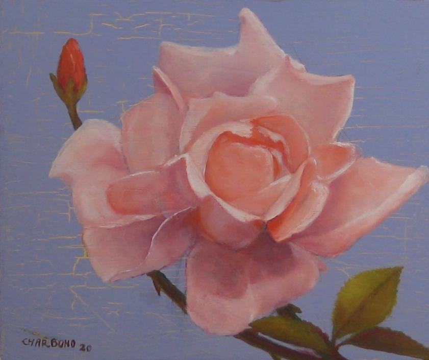 Mon Amie la rose - Claude Charbono - Click to enlarge