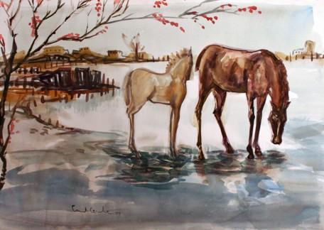 Nature animal - Cristina Centenaro