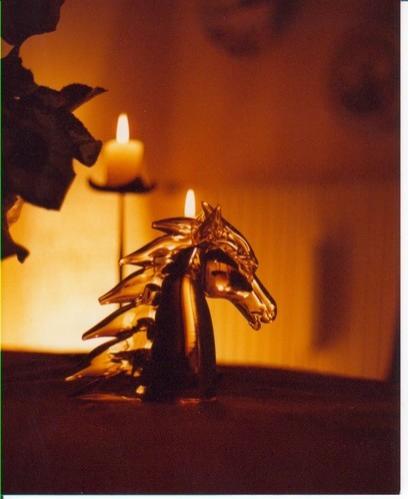 Cheval d'ambre2 - Bernadette Mora