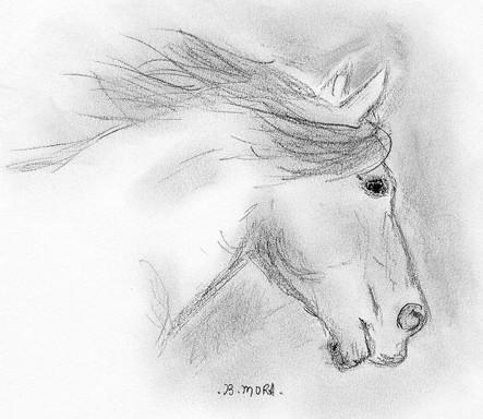 Cheval libre - Bernadette Mora