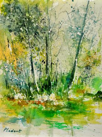 aquarelle 019051 - Pol Ledent