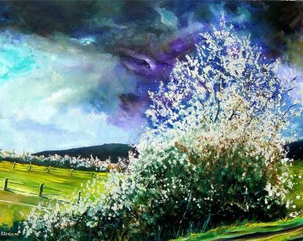 aubepine en fleur - Pol Ledent