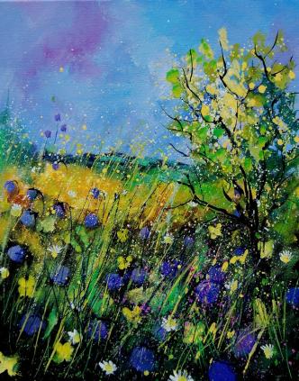 Centaurées 45 - Pol Ledent