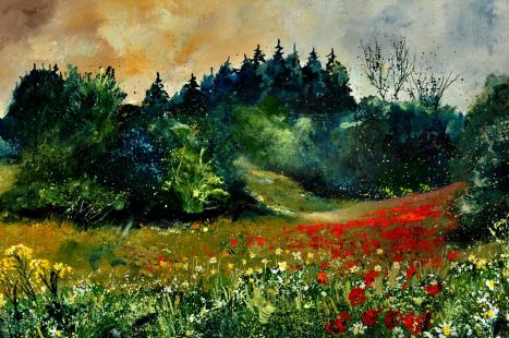 coquelicots in houroy - Pol Ledent