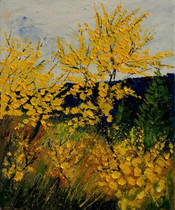 genets 5690 - Pol Ledent
